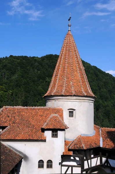 Une Partie Vieux Château Roumanie — Photo