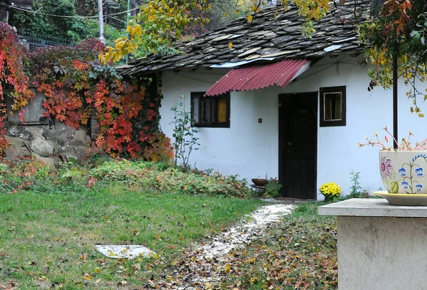 Avlunun Bir Kısmı Bulgaristan Sonbaharda Geleneksel Çatı Ağaç Sürüngenli — Stok fotoğraf