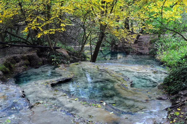 Kristalhelder Water Bomen Rotsblokken Van Krushuna Watervallen Het Natuurreservaat Bulgarije — Stockfoto