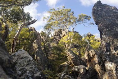 Rock - Woodend, Victoria, Avustralya popüler turistik asılı bir fotoğraf.