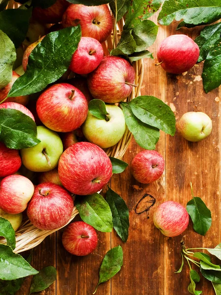 Mogna Röda Äpplen Med Blad Trä Bakgrund Grunt Dof — Stockfoto