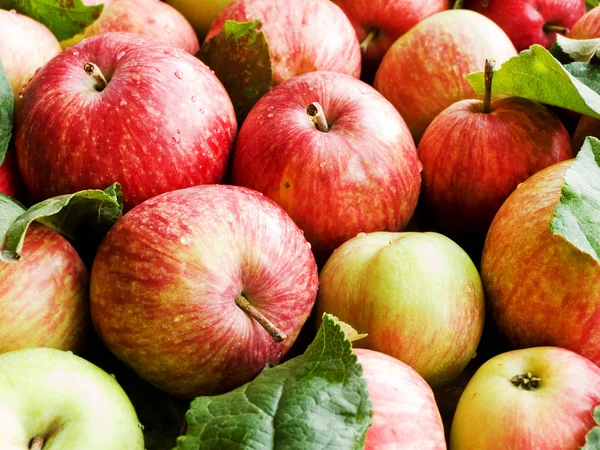 Pommes Rouges Mûres Avec Des Feuilles Sur Fond Bois Dof — Photo