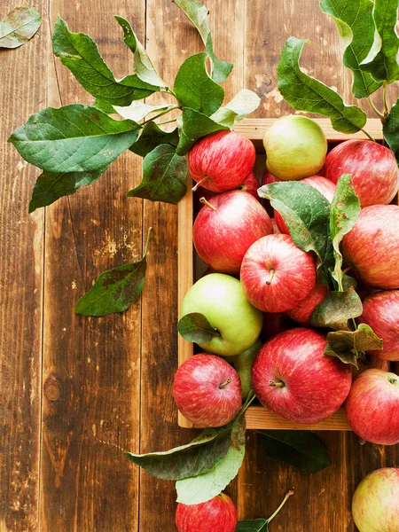 Pommes Rouges Mûres Avec Des Feuilles Sur Fond Bois Dof — Photo