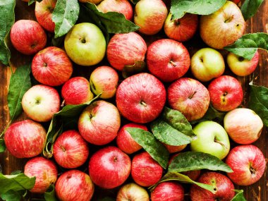 Olgun kırmızı elma ile ahşap arka plan yapraklarda. Sığ dof.