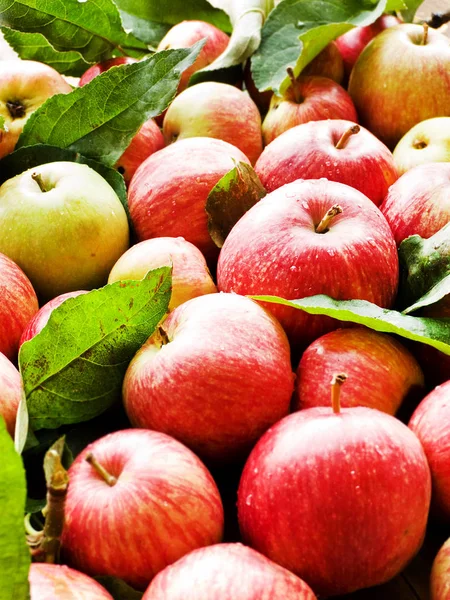 Manzanas Rojas Maduras Con Hojas Sobre Fondo Madera Dof Poco —  Fotos de Stock