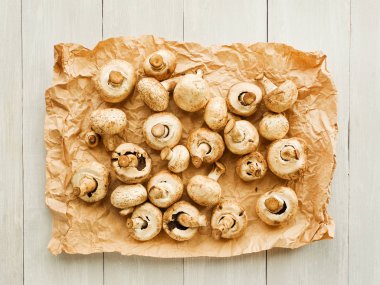 Tahtadaki şampiyonlar