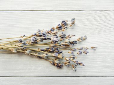 kurutulmuş lavanta çiçekleri