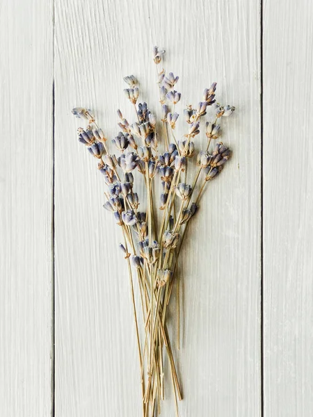 Getrocknete Lavendelblüten — Stockfoto