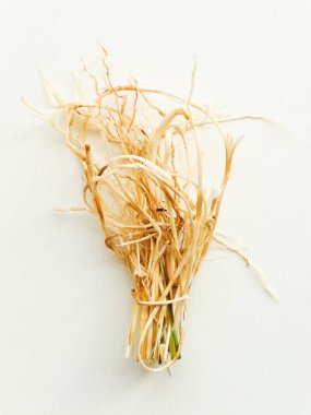 Kökleri ile Bluegrass