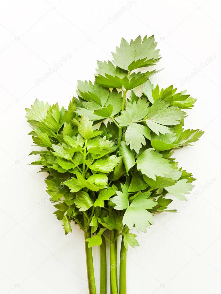 Lovage on white