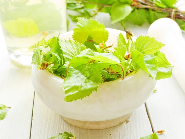 Birch tree drink — Stock Photo, Image