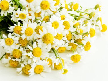 Ahşap papatya çiçekleri