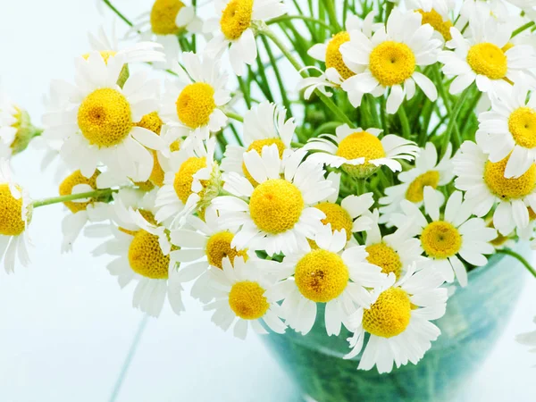 Chamomile flowers on wood — Stock Photo, Image