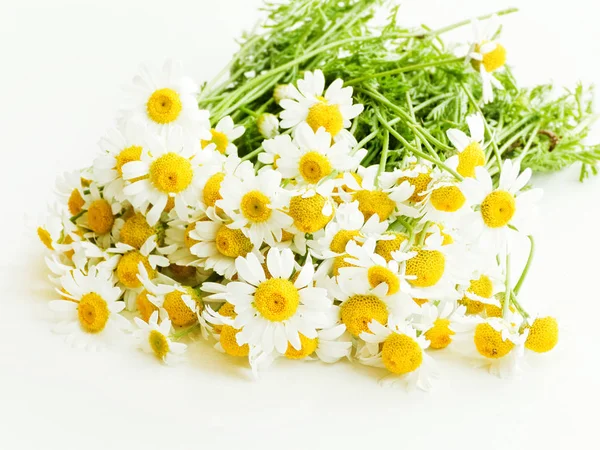 Kamillenblüten auf Holz — Stockfoto