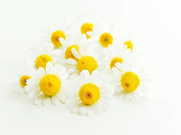 Chamomile flowers on wood — Stock Photo, Image