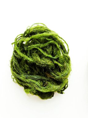 Beyaz nehir yosunları