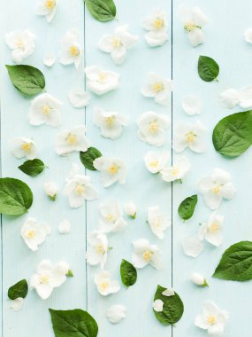 Ahşap üzerinde Yasemin