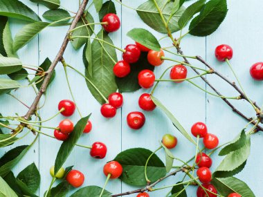 kiraz ahşap üzerine