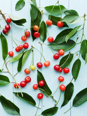 kiraz ahşap üzerine