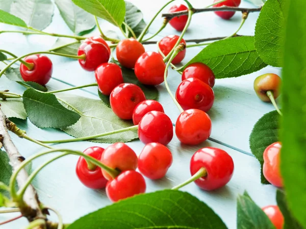 Cherries on wood — Stock Photo, Image