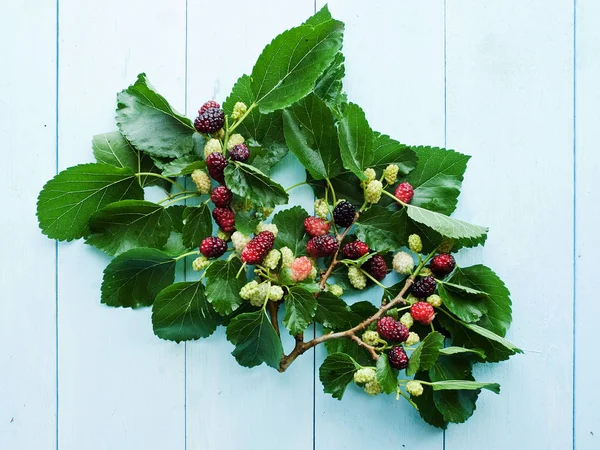 Mulberry na dřevě — Stock fotografie