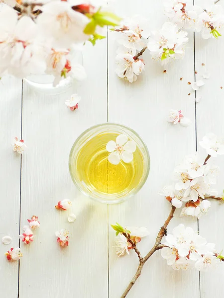 Chá de flor de damasco — Fotografia de Stock