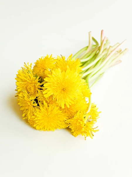 Dandelion on white — Stock Photo, Image