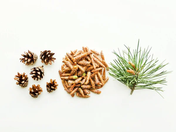 Cones de pinheiro em branco — Fotografia de Stock