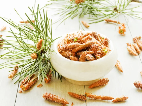 Pine cones in mortar — Stock Photo, Image