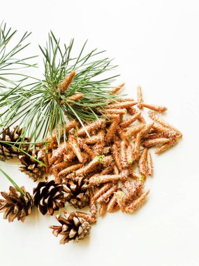 Beyaz üzerine çam kozalakları