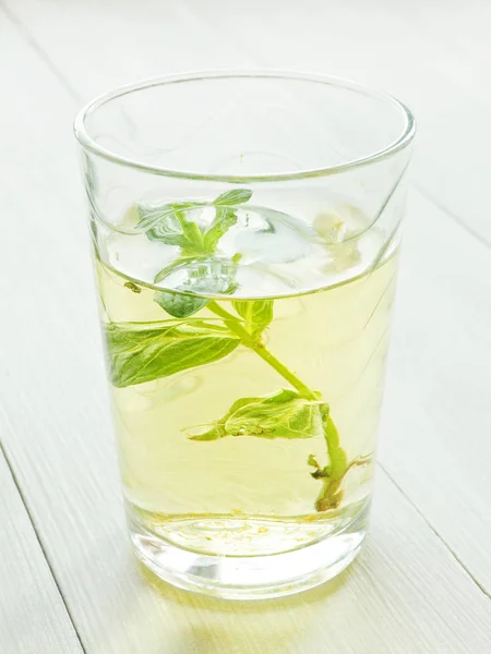 Mint tea in glass — Stock Photo, Image