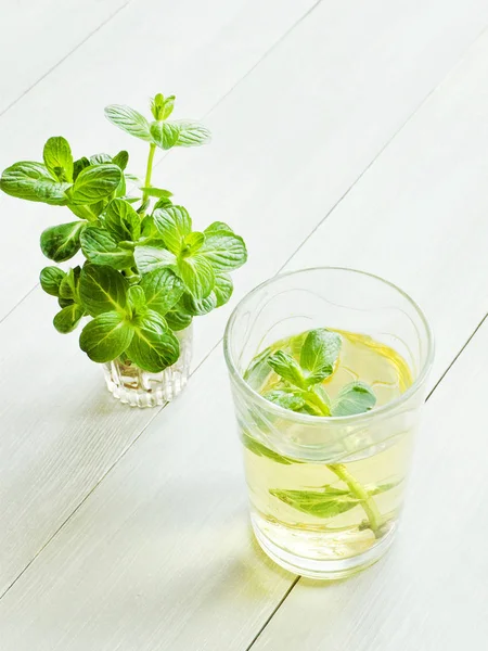 Mint tea in glass — Stock Photo, Image