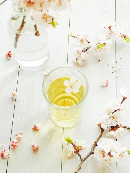 Herbata z kwiatów moreli — Zdjęcie stockowe