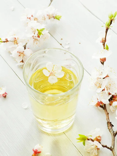 Абрикос квітковий чай — стокове фото