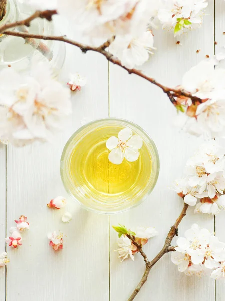 Čaj meruňkové květiny — Stock fotografie