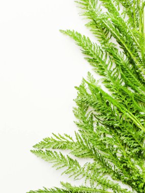 Beyaz üzerine yarıçap