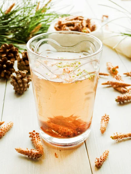 Pine cone tea — Stock Photo, Image