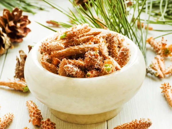 Pine cones in mortar — Stock Photo, Image