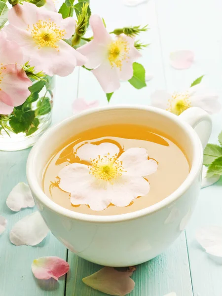 Wild rose tea — Stock Photo, Image