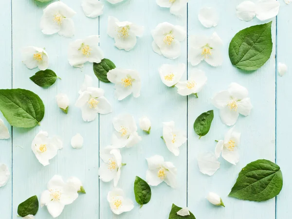 Ahşap üzerinde Yasemin