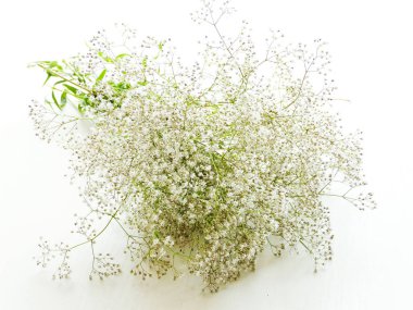 vahşi çayır çiçekler