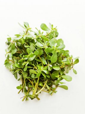 Purslane beyaz