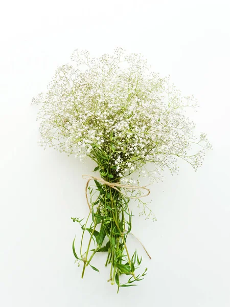Vilda ängen blommor — Stockfoto