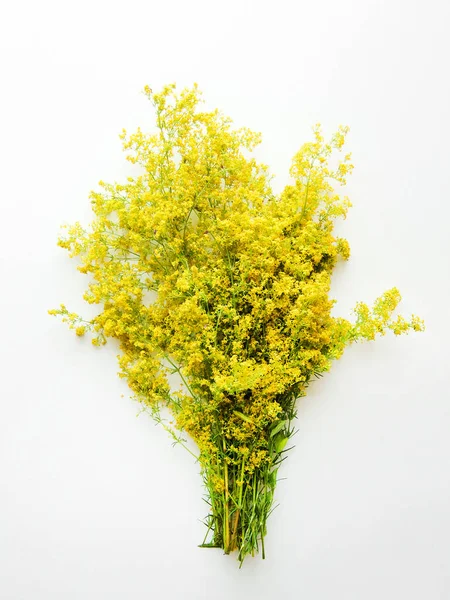 Gula SÄNGHALM blommor — Stockfoto