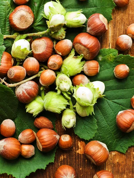 Ahşap üzerine fındık — Stok fotoğraf