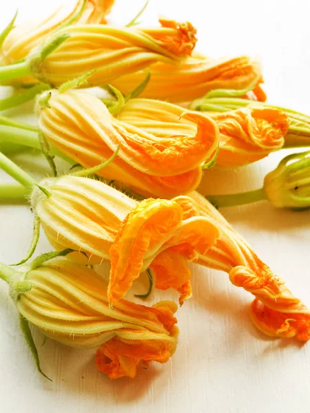 Zucchini ätbara blommor — Stockfoto