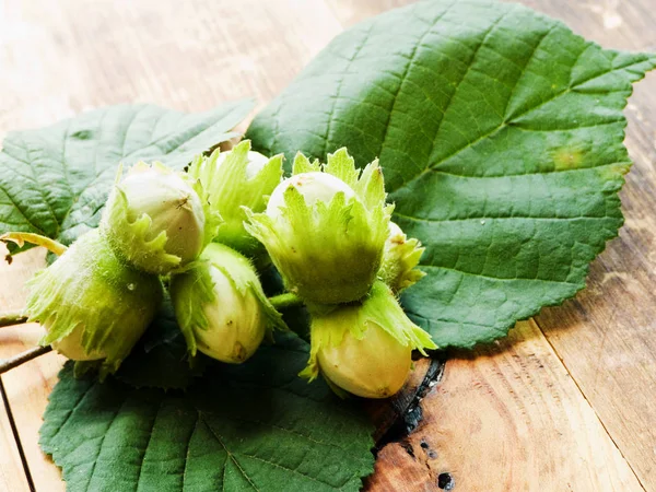 Hazelnuts on wood — Stock Photo, Image