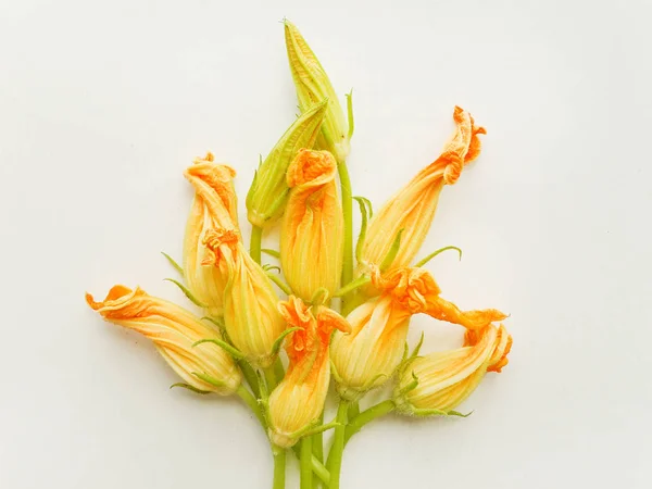 Zucchini edible flowers — Stock Photo, Image