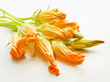 Kabak yenilebilir çiçekler