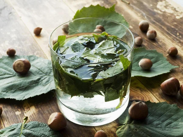 Hazelnut leaves water — Stock Photo, Image